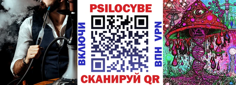 цена   Бежецк  Псилоцибиновые грибы MAGIC MUSHROOMS 